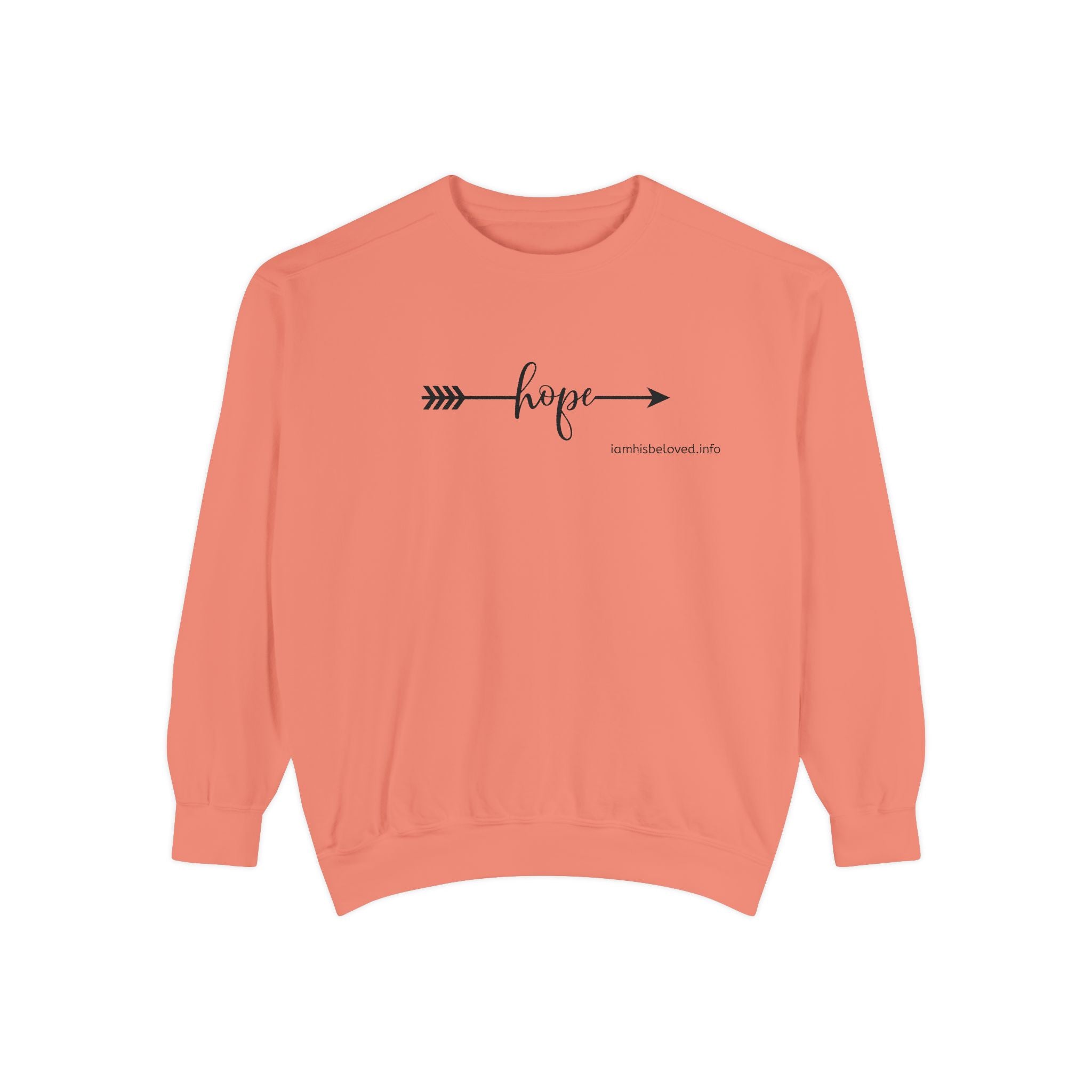 Endless Hope Garment - Dyed Sweatshirt