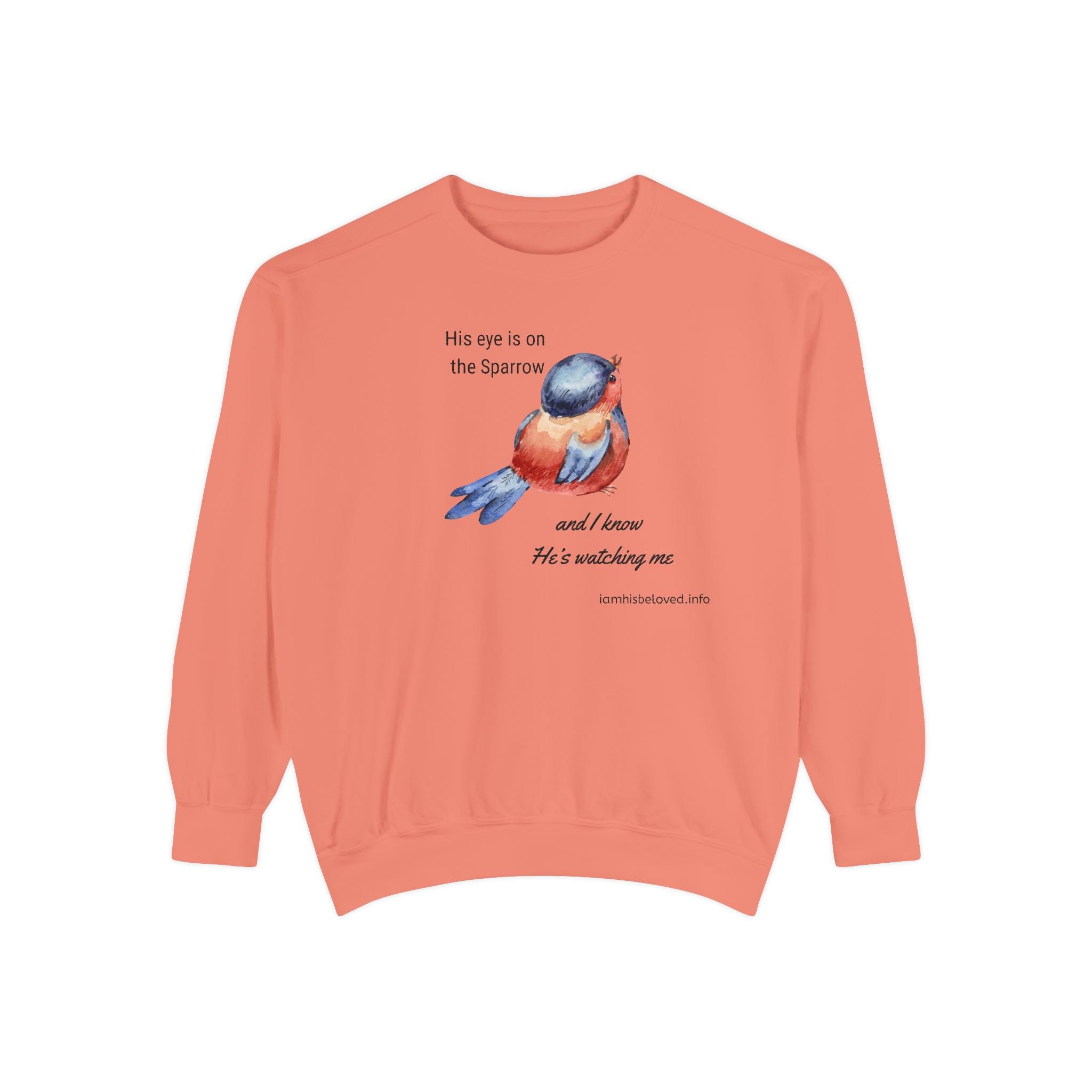 Favorite Hymns ~ His Eye is on the Sparrow ~ Garment-Dyed Sweatshirt