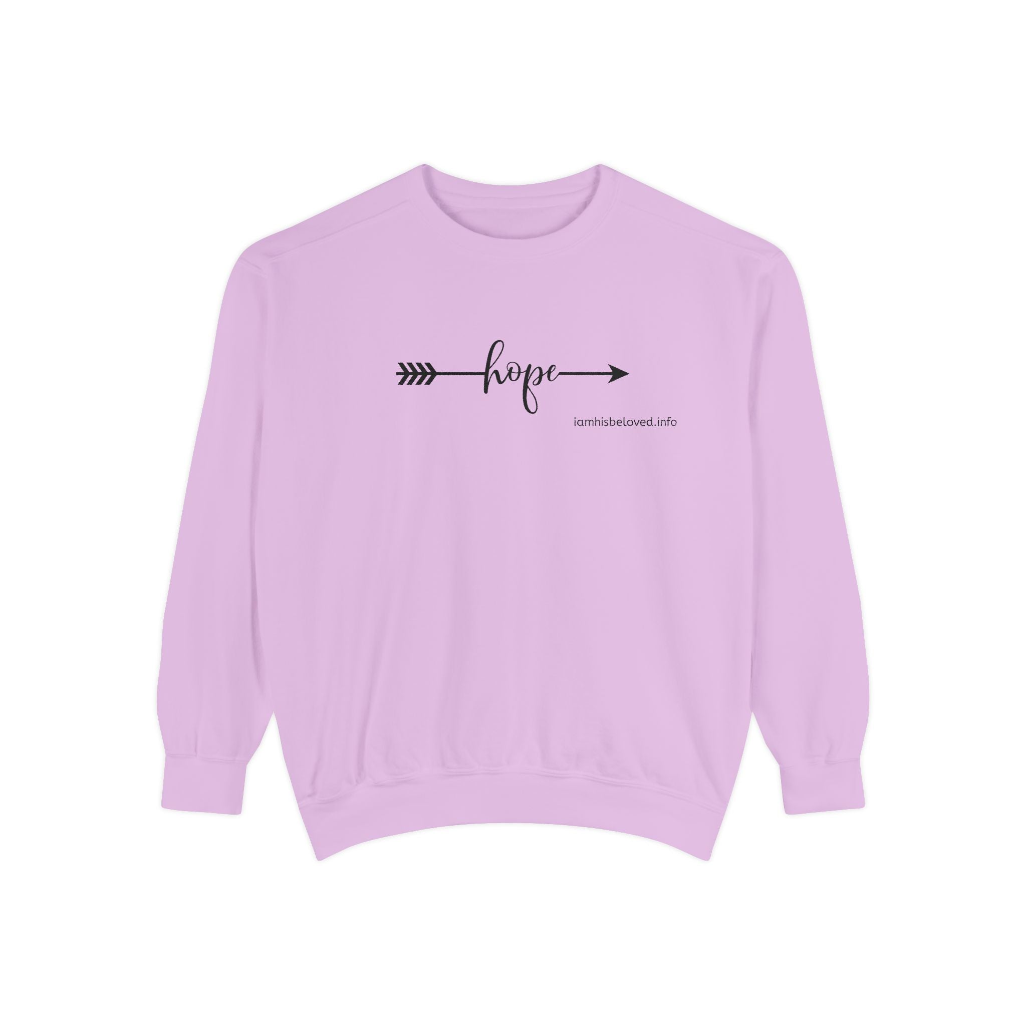Endless Hope Garment - Dyed Sweatshirt