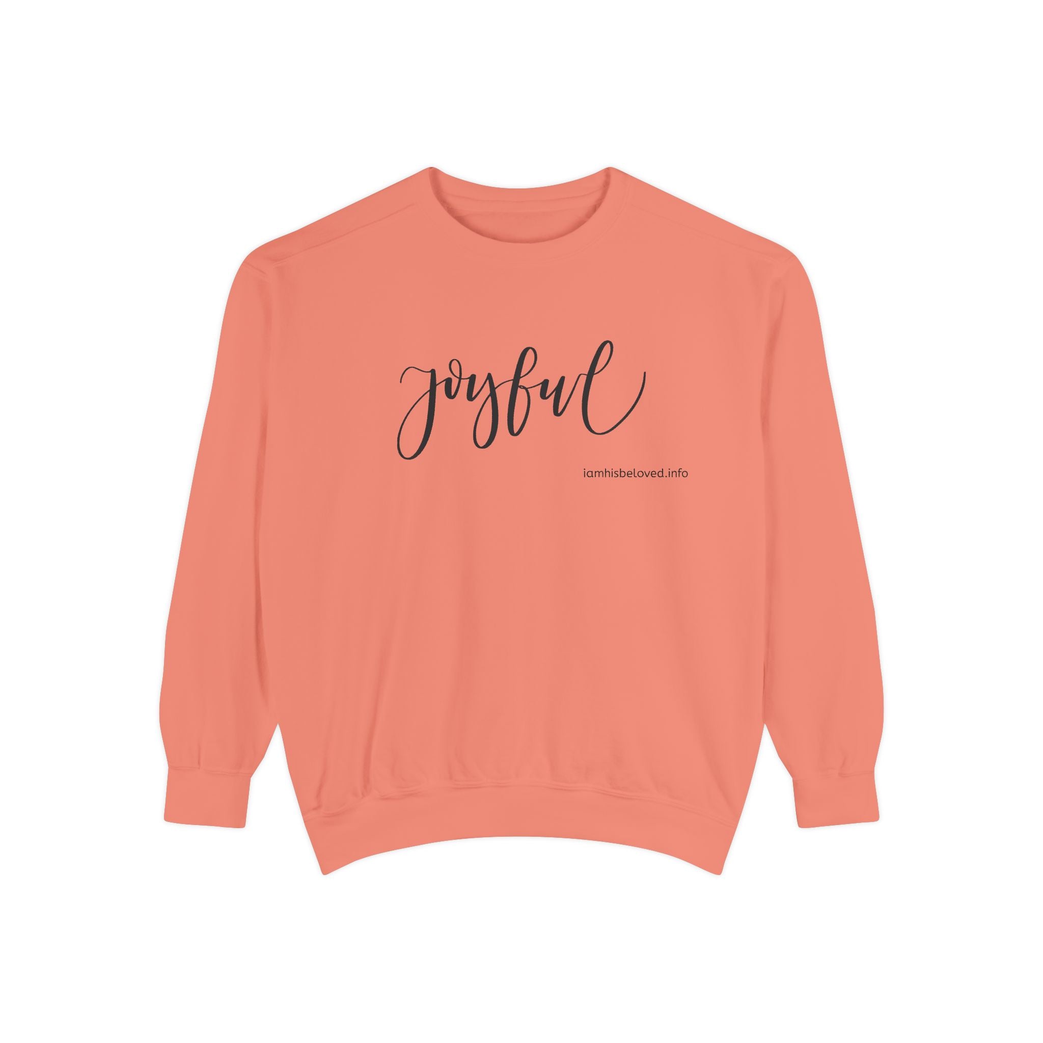 Joyful Garment - Dyed Sweatshirt