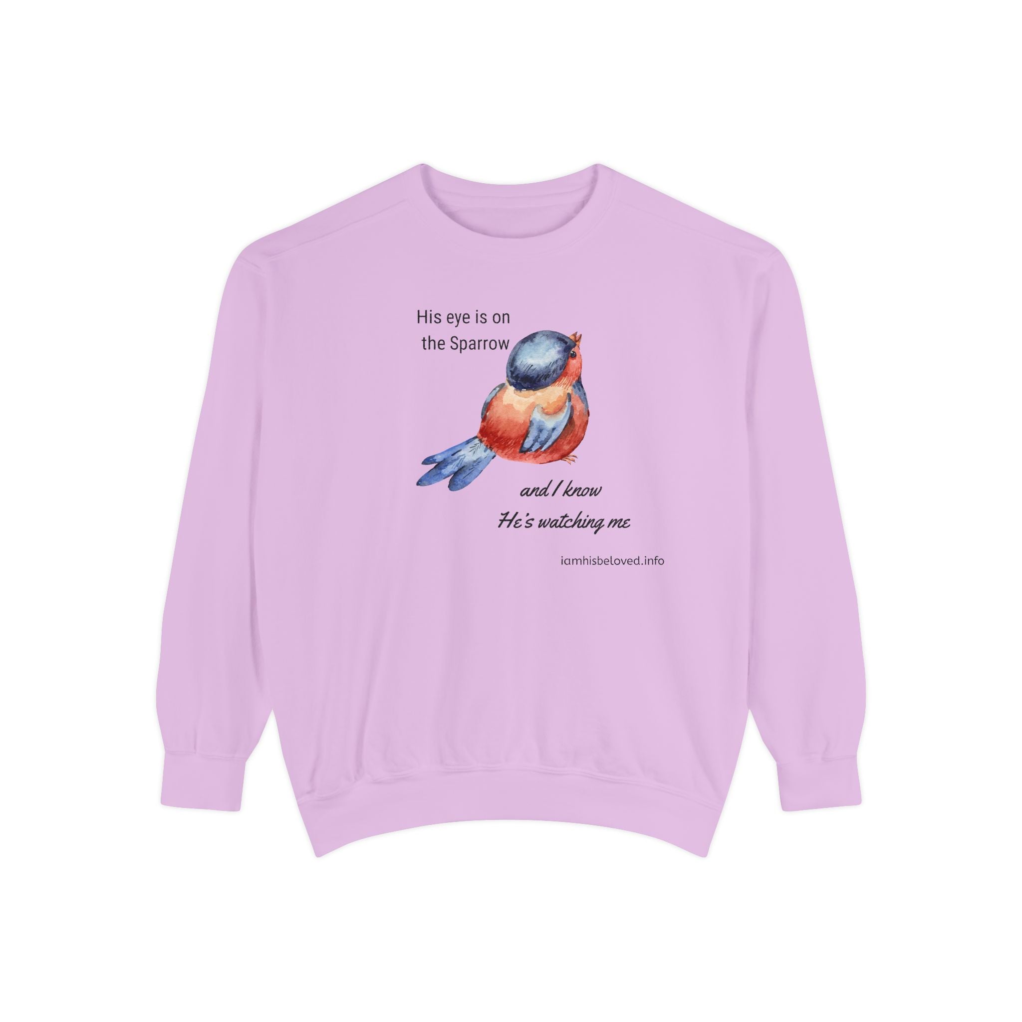 Favorite Hymns ~ His Eye is on the Sparrow ~ Garment-Dyed Sweatshirt